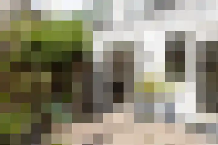 Laan van Nieuw-Guinea 26 Utrecht thumbnail 33