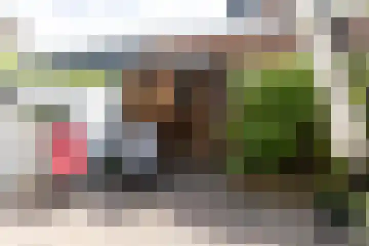 Laan van Nieuw-Guinea 26 Utrecht thumbnail 4