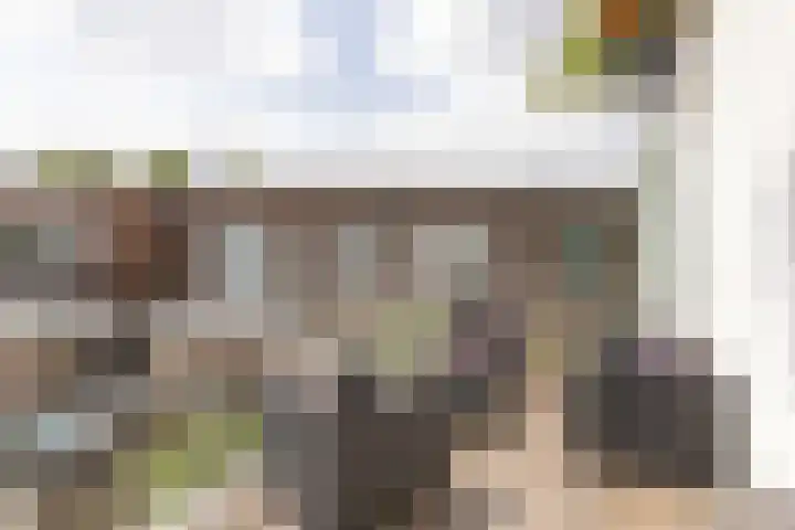 Laan van Nieuw-Guinea 26 Utrecht thumbnail 42