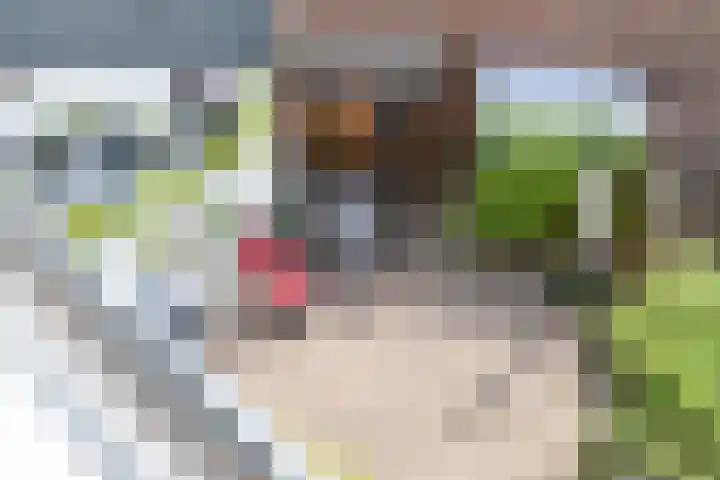 Laan van Nieuw-Guinea 26 Utrecht thumbnail 45
