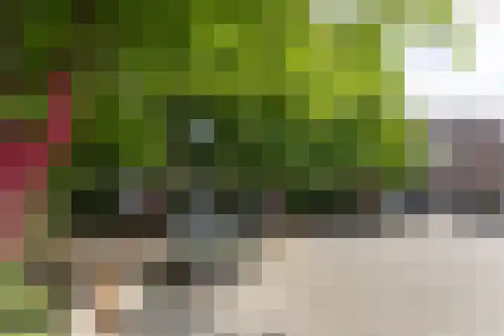 Laan van Nieuw-Guinea 26 Utrecht thumbnail 48