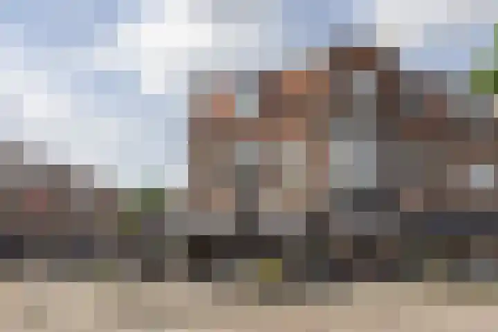 Laan van Nieuw-Guinea 26 Utrecht thumbnail 49