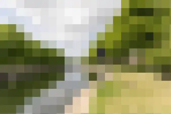 Laan van Nieuw-Guinea 26 Utrecht thumbnail 51