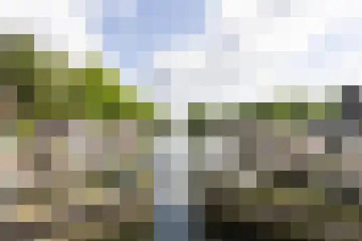 Laan van Nieuw-Guinea 26 Utrecht thumbnail 52