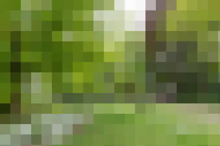 Laan van Nieuw-Guinea 26 Utrecht thumbnail 53