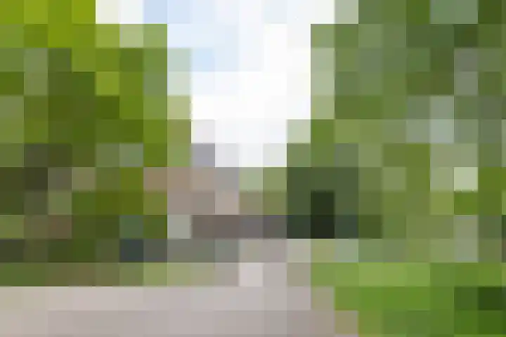 Laan van Nieuw-Guinea 26 Utrecht thumbnail 54