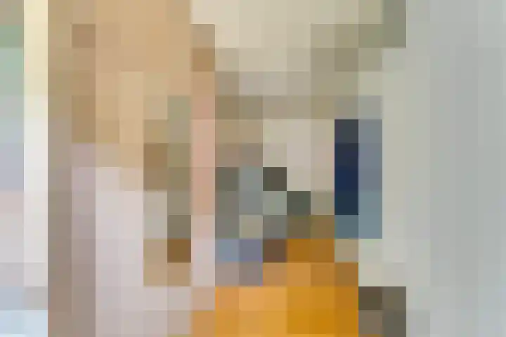 Laan van Nieuw-Guinea 33 Utrecht thumbnail 11