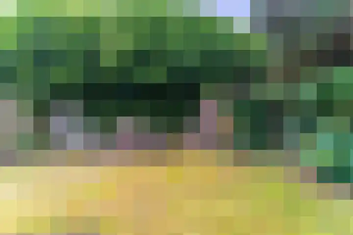 Laan van Nieuw-Guinea 33 Utrecht thumbnail 19