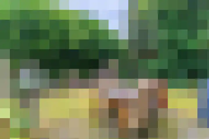Laan van Nieuw-Guinea 33 Utrecht thumbnail 20