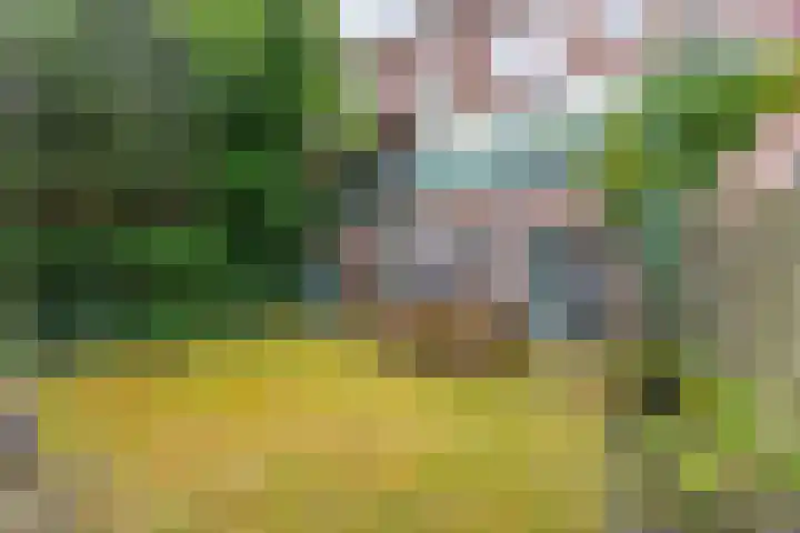 Laan van Nieuw-Guinea 33 Utrecht thumbnail 21