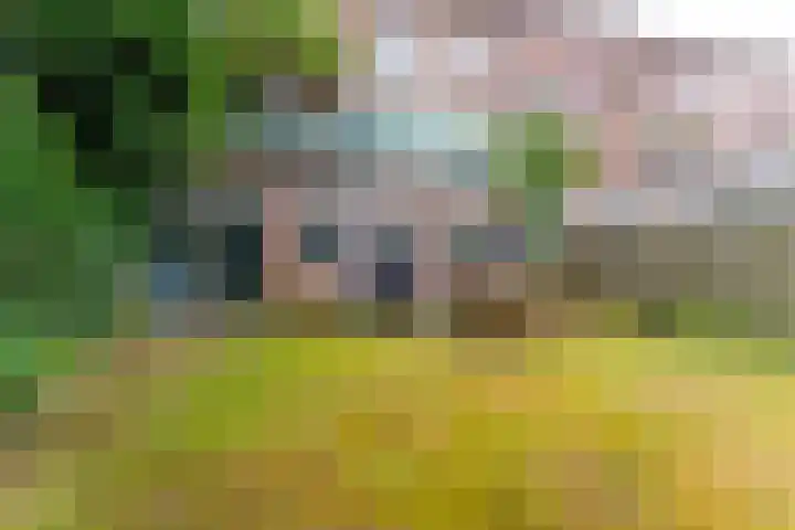 Laan van Nieuw-Guinea 33 Utrecht thumbnail 22