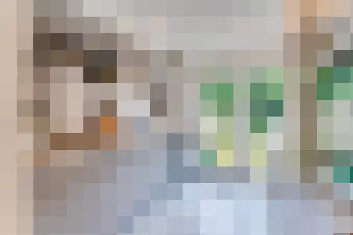Laan van Nieuw-Guinea 33 Utrecht thumbnail 8