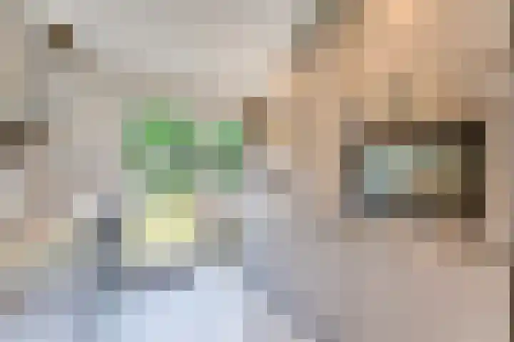 Laan van Nieuw-Guinea 33 Utrecht thumbnail 9