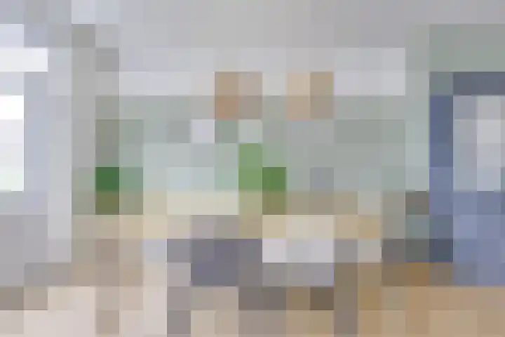 Laan van Nieuw-Guinea 4 BS Utrecht thumbnail 18
