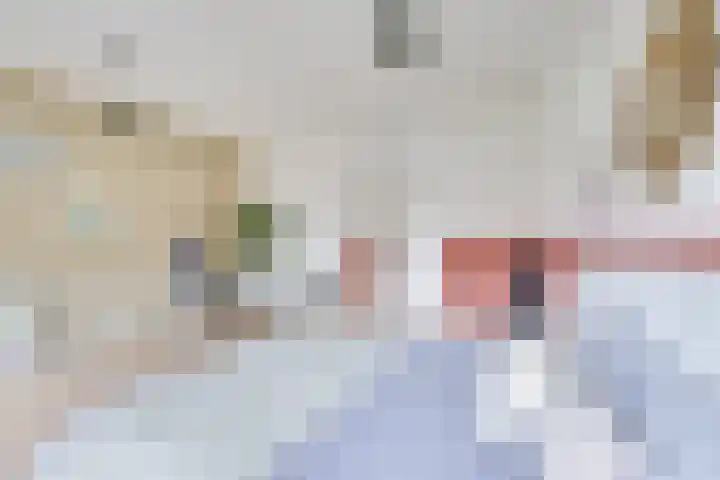 Laan van Nieuw-Guinea 4 BS Utrecht thumbnail 30