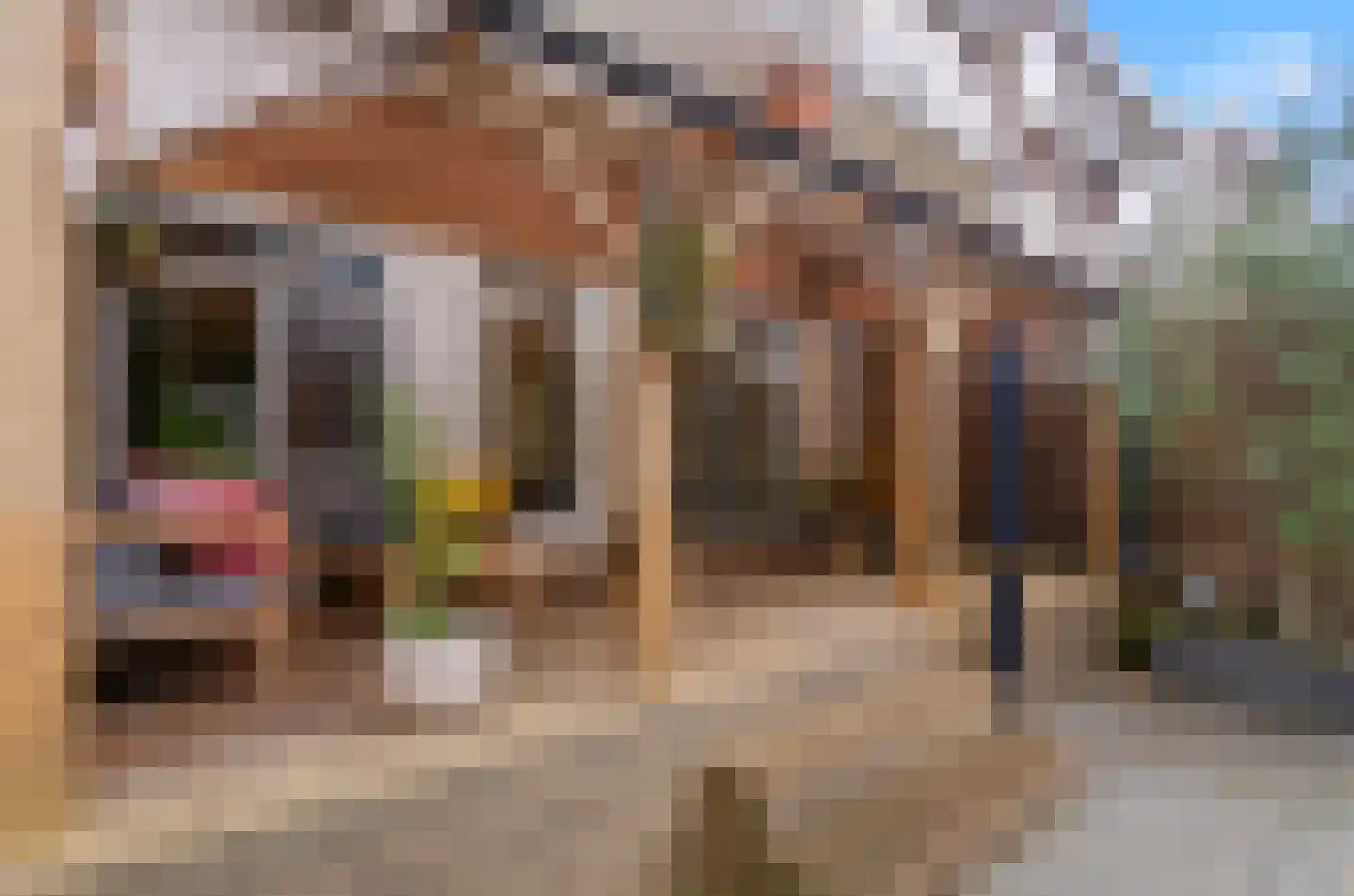 Laan van Nieuw-Guinea 42 Utrecht thumbnail 34