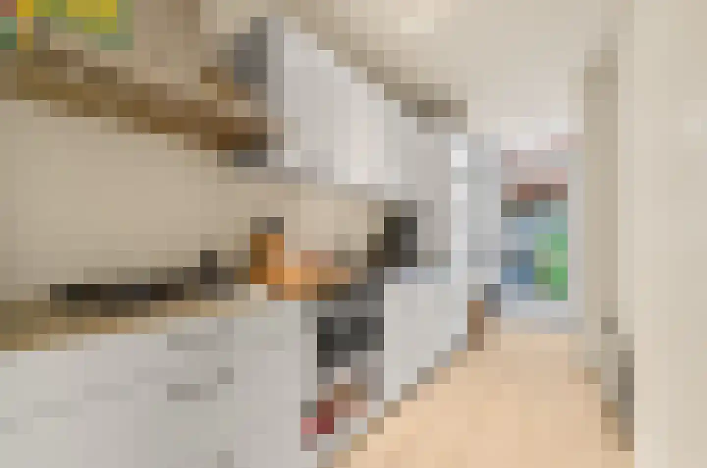 Laan van Nieuw-Guinea 42 Utrecht thumbnail 5