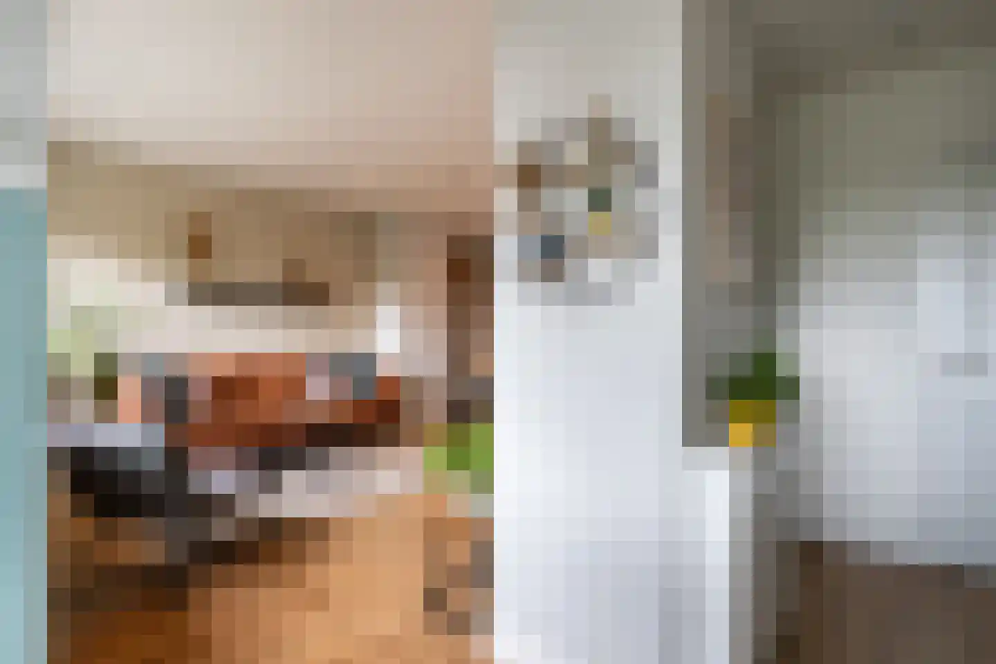 Laan van Nieuw-Guinea 48 B Utrecht thumbnail 6