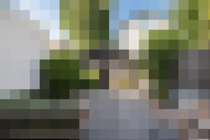 Laan van Nieuw-Guinea 58 Utrecht thumbnail 19