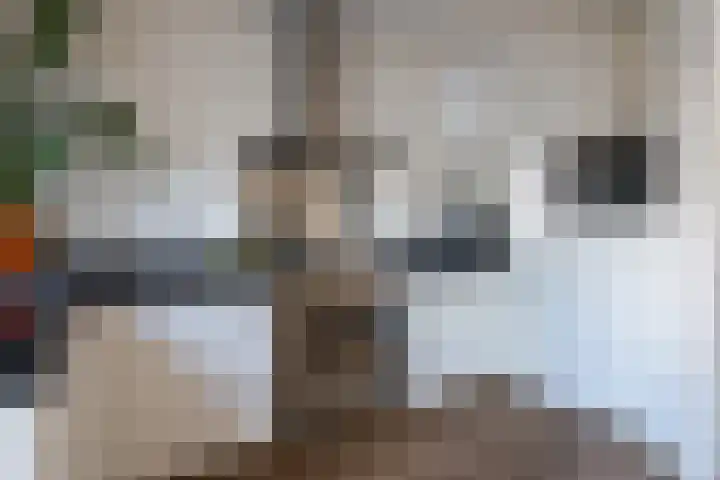 Laan van Nieuw-Guinea 58 Utrecht thumbnail 5