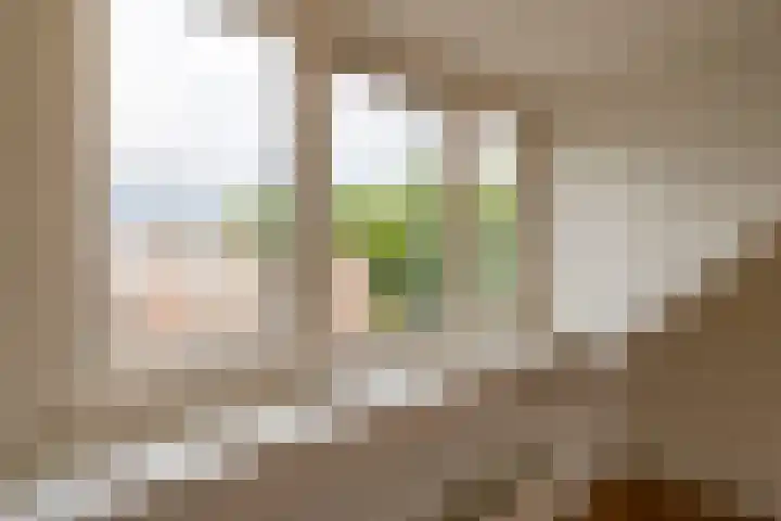 Laan van Nieuw-Guinea 65 B Utrecht thumbnail 11