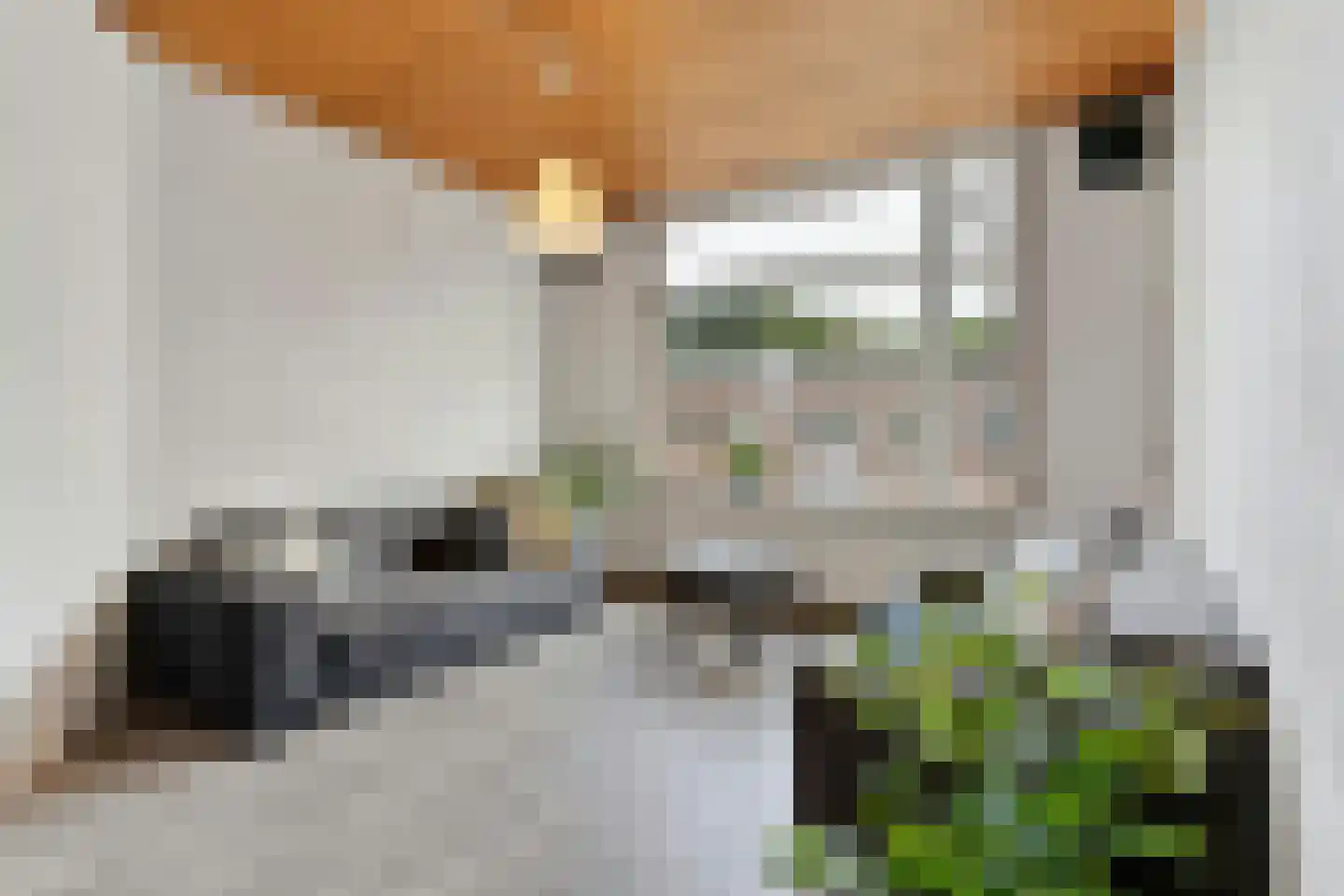 Laan van Nieuw-Guinea 69 BSA Utrecht thumbnail 12