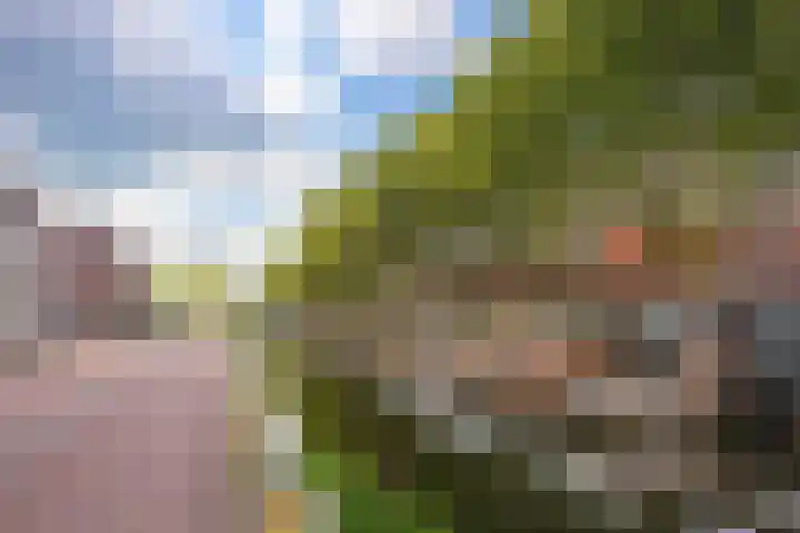 Laan van Nieuw-Guinea 7 BSA Utrecht thumbnail 40