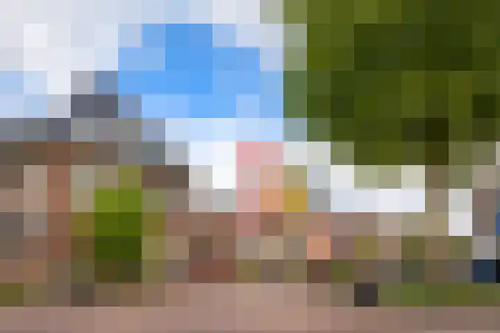 Laan van Nieuw-Guinea 7 BSA Utrecht thumbnail 41