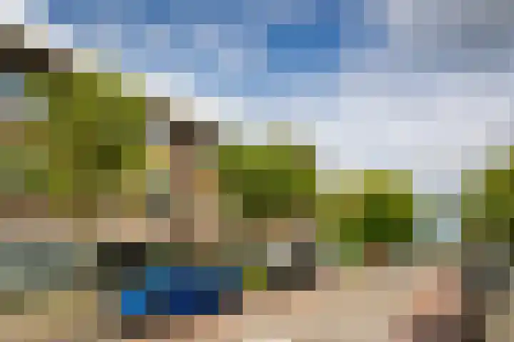 Laan van Nieuw-Guinea 7 BSA Utrecht thumbnail 5