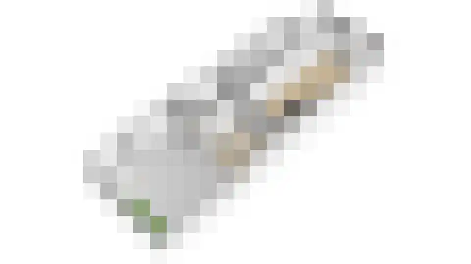 Laan van Nieuw-Guinea 71 Utrecht thumbnail 41