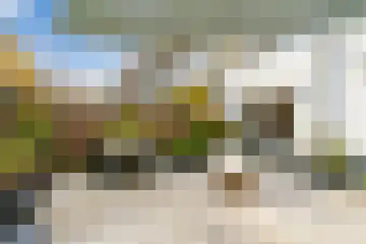 Laan van Nieuw-Guinea 81 Utrecht thumbnail 19