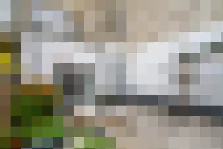 Laan van Nieuw-Guinea 81 Utrecht thumbnail 20