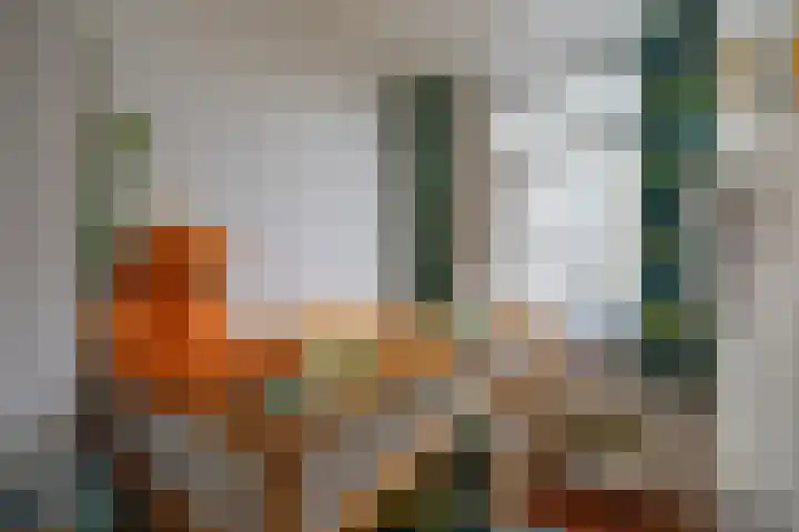Laan van Nieuw-Guinea 81 Utrecht thumbnail 25