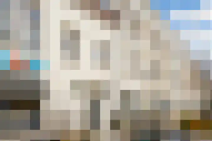 Laan van Nieuw-Guinea 81 Utrecht thumbnail 5