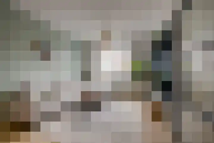 Laan van Nieuw-Guinea 81 Utrecht thumbnail 8