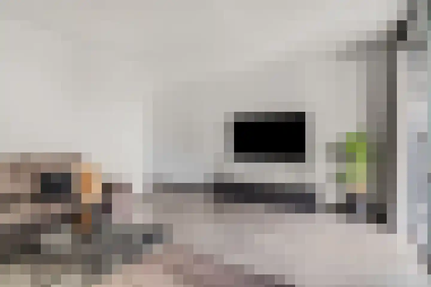 Laan van Nieuw Meerten 49 Lienden thumbnail 10