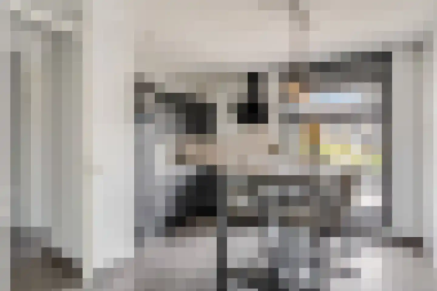 Laan van Nieuw Meerten 49 Lienden thumbnail 11