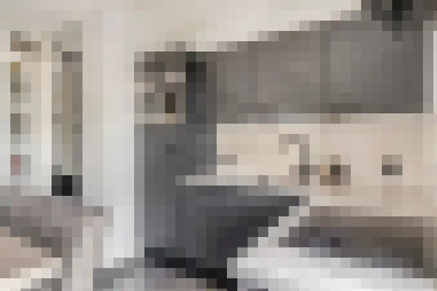 Laan van Nieuw Meerten 49 Lienden thumbnail 14