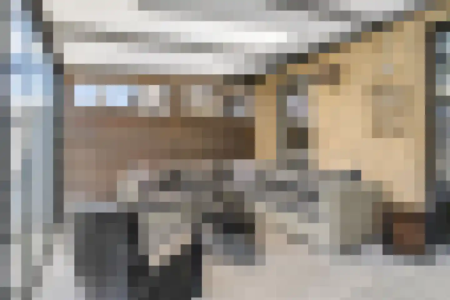 Laan van Nieuw Meerten 49 Lienden thumbnail 26