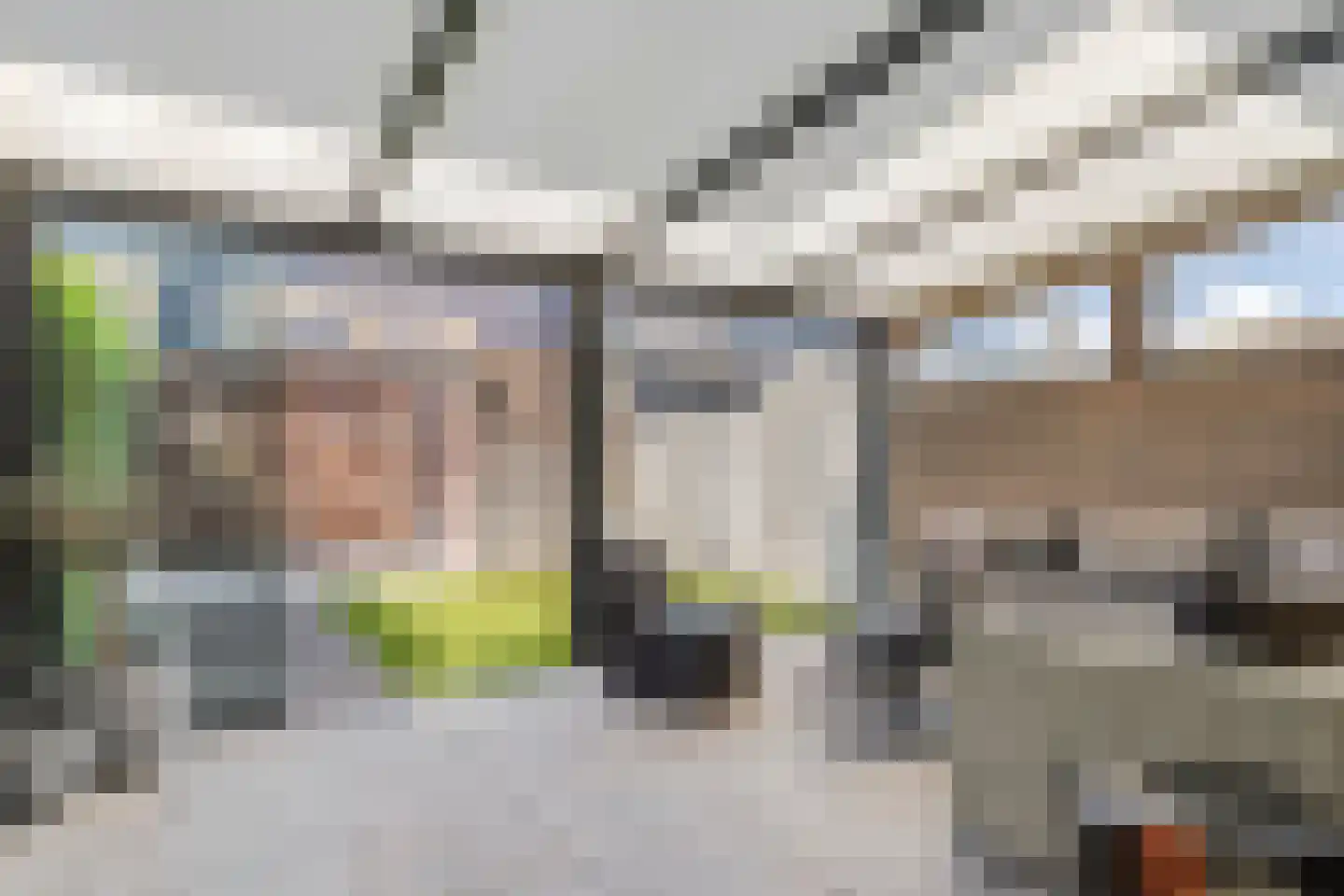 Laan van Nieuw Meerten 49 Lienden thumbnail 4