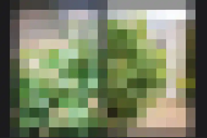 Laan van Nieuw Meerten 53 Lienden thumbnail 29