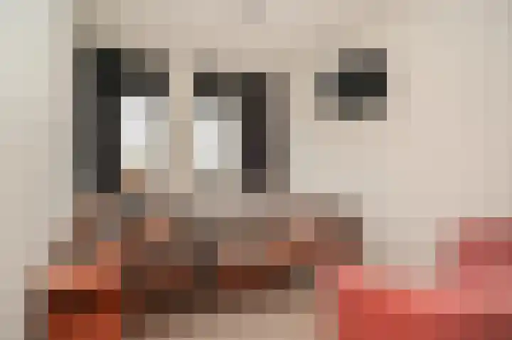Laan van Nieuw Meerten 53 Lienden thumbnail 4