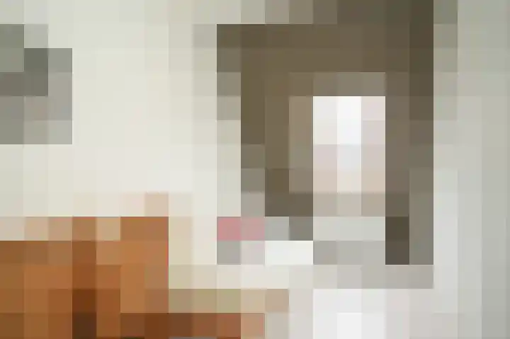 Laan van Nieuw Meerten 53 Lienden thumbnail 5