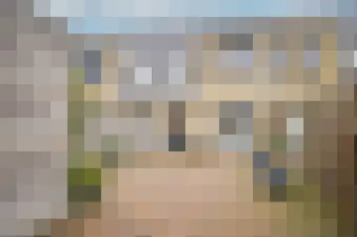 Laan van Nieuw Meerten 53 Lienden thumbnail 6