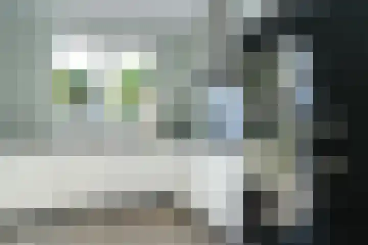 Laan van Nieuw Meerten 66 Lienden thumbnail 11
