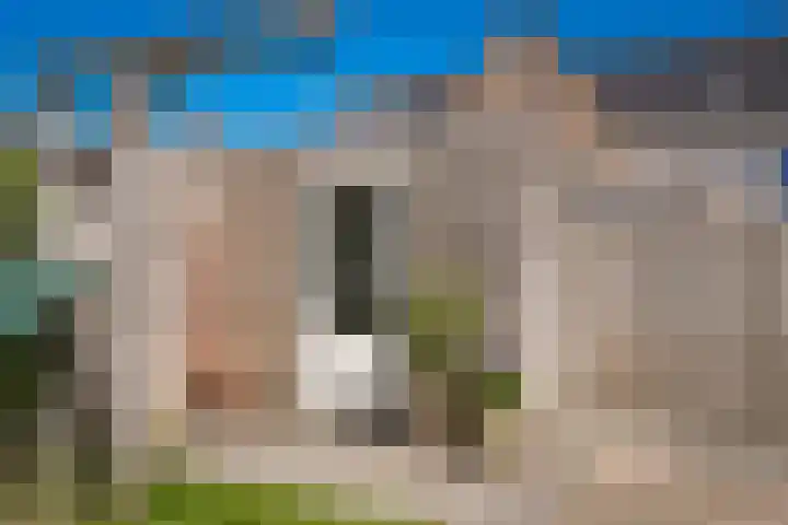 Laan van Nieuw Meerten 66 Lienden thumbnail 28