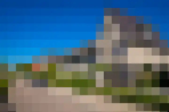 Laan van Nieuw Meerten 66 Lienden thumbnail 6