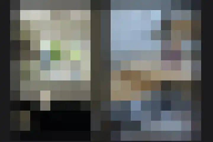Laan van Nieuw Meerten 66 Lienden thumbnail 9