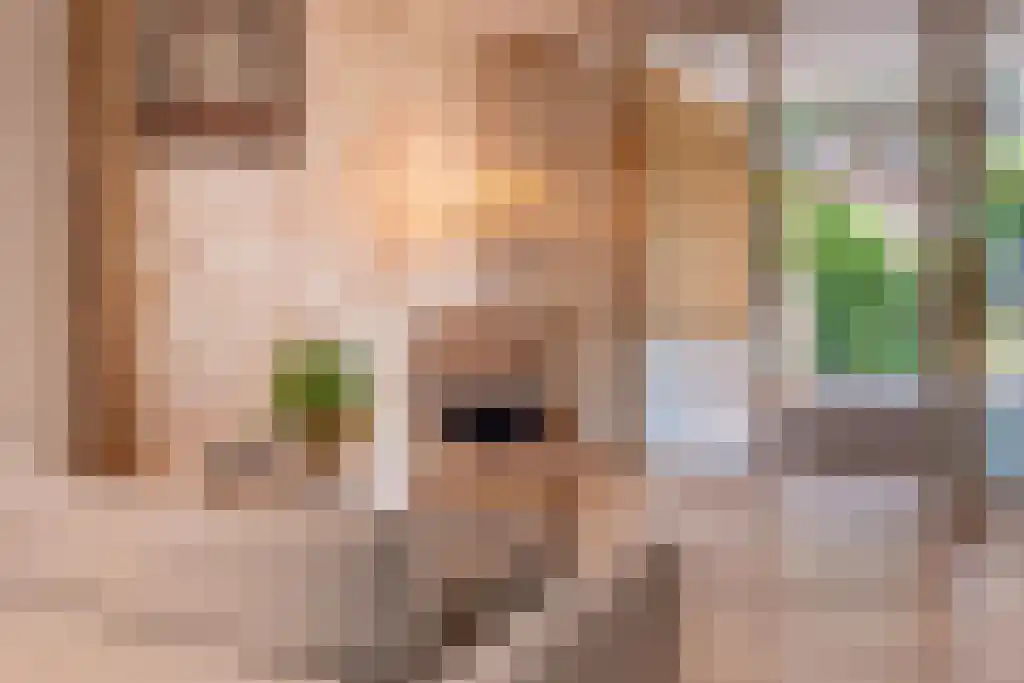 Laan van Nieuw-Oost-Indië 1 E Den Haag thumbnail 12
