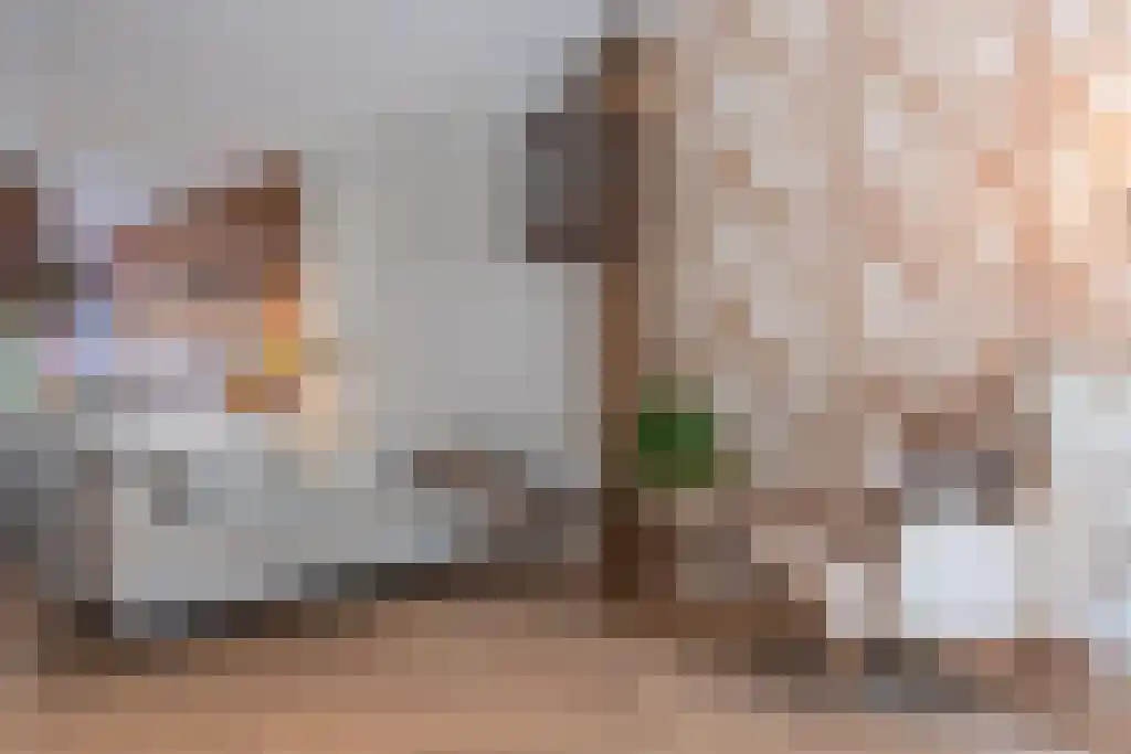 Laan van Nieuw-Oost-Indië 1 E Den Haag thumbnail 13